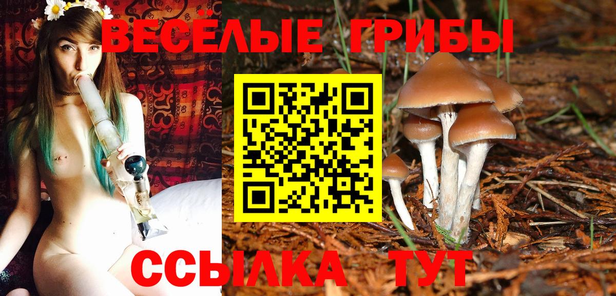 Галлюциногенные грибы мицелий  Вход с VPN  Южноуральск 